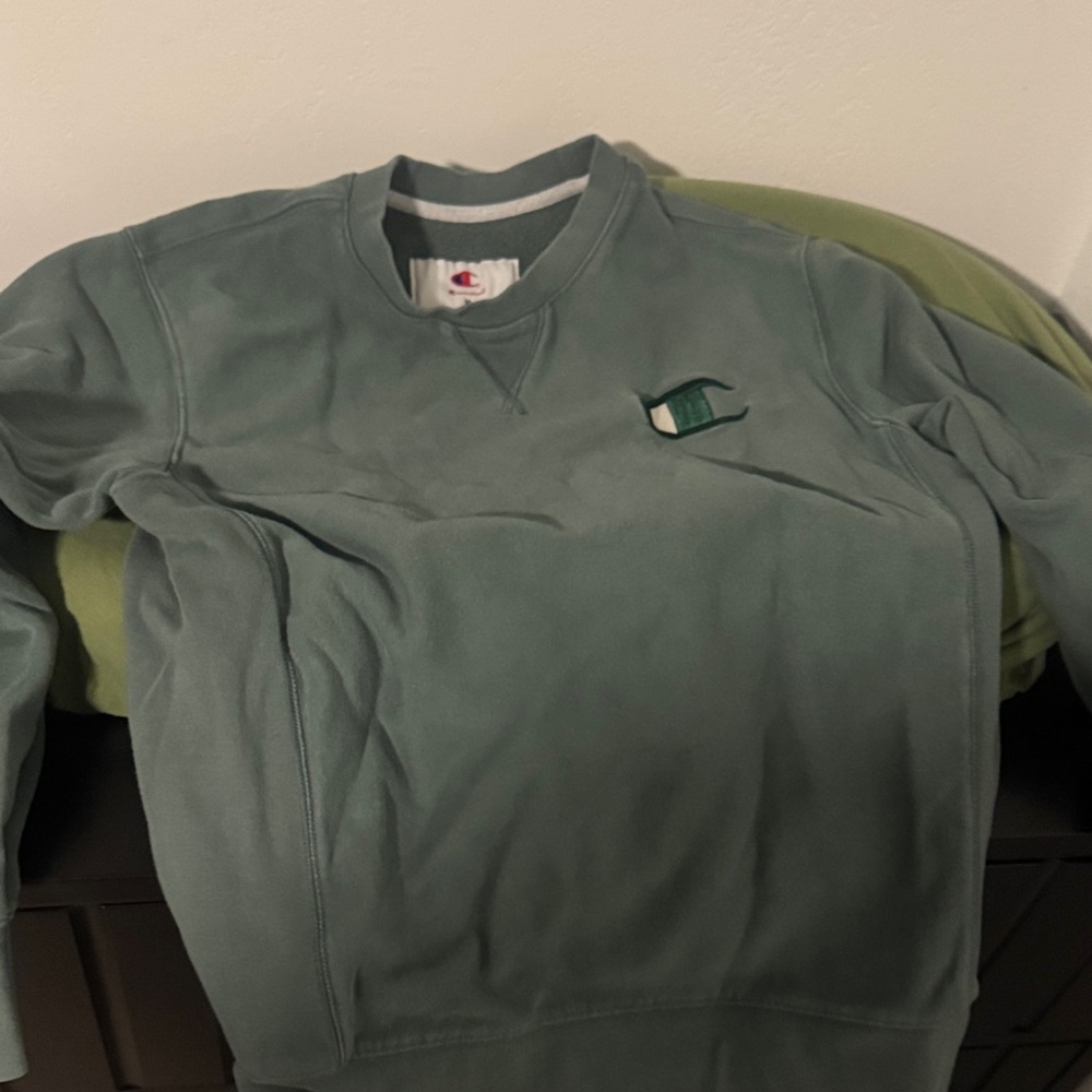 Champion Crewneck Sweatshirt in Sage Green